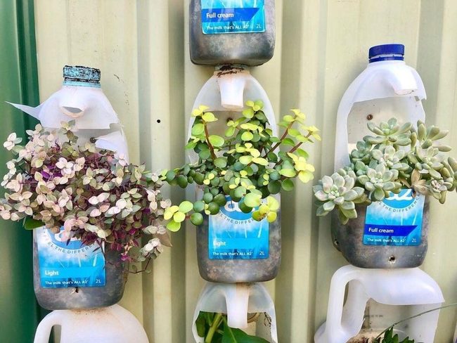 Milk Bottle Wall Planters