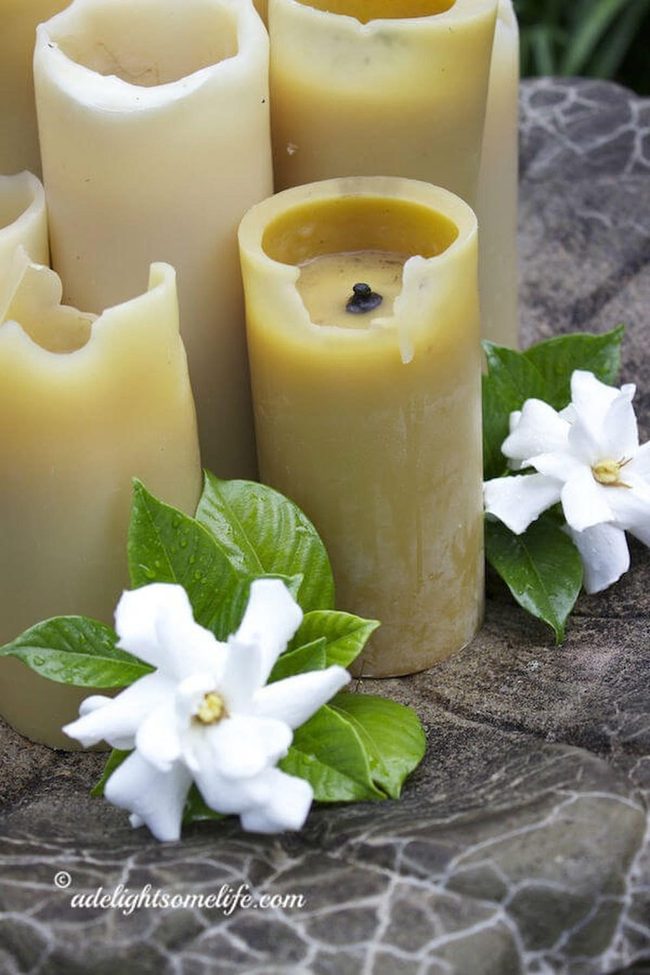 Candlelit Gardenias In Stone Birdbath