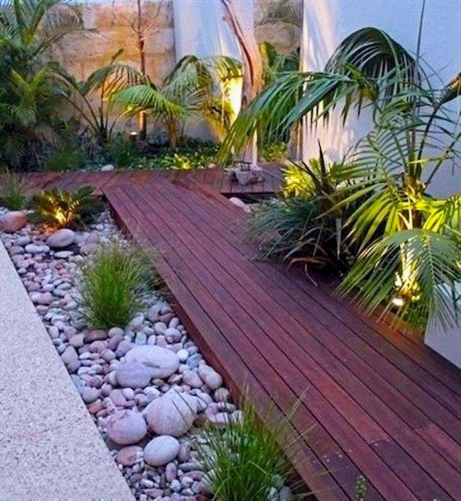 Wooden Boardwalk Through Lush Greenery
