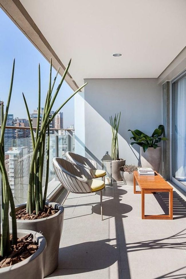 Yellow Cushions, Glass Views, Green Life