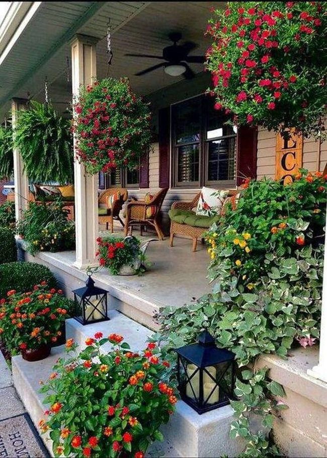 Cascading Petunias Frame Your Entrance