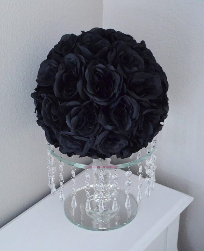 Black Roses Against White Walls