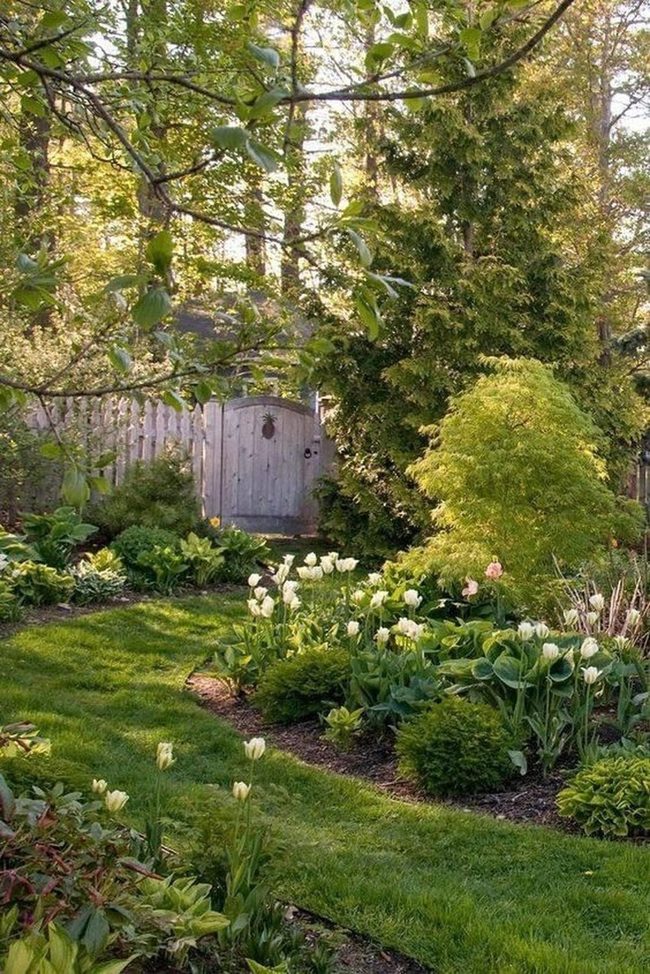 White Tulips Through Green Woodland