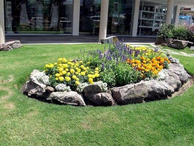 Stone-Rimmed Marigold Circle Garden