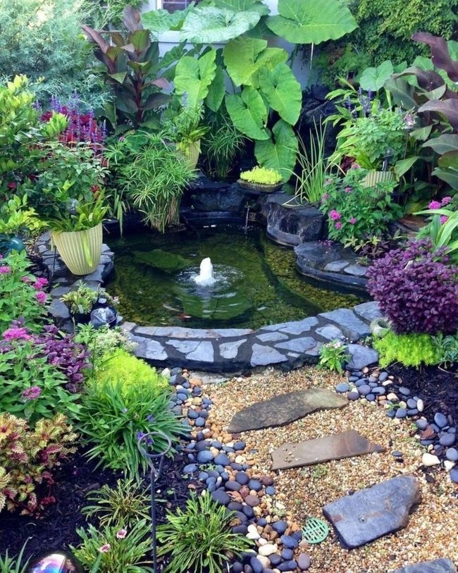 Backyard Pond Instant Serenity