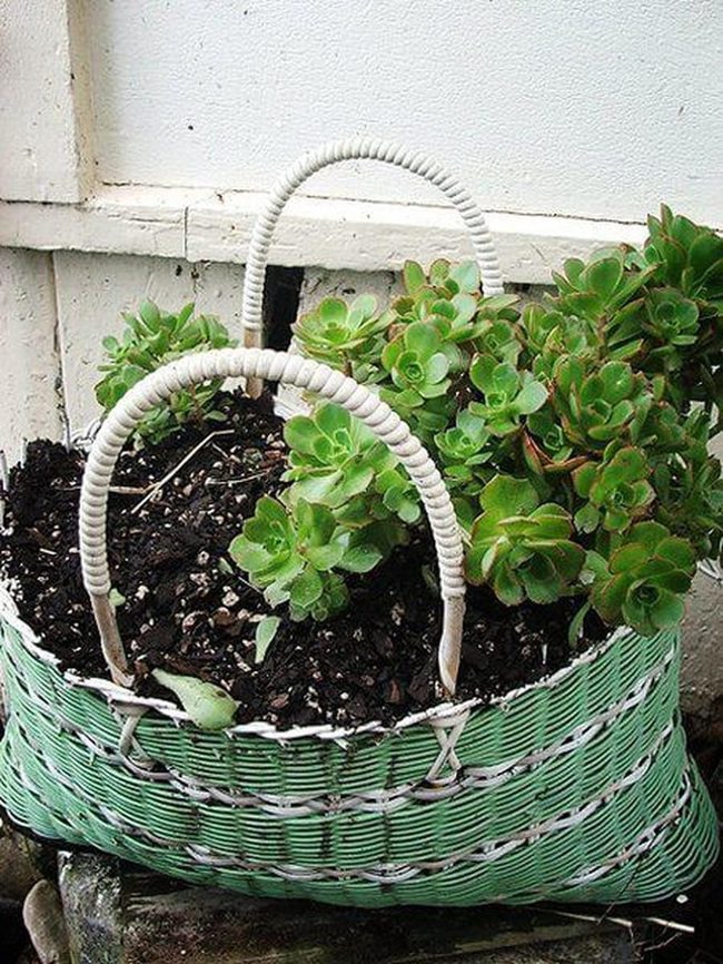 Woven Green Basket Plant Pot