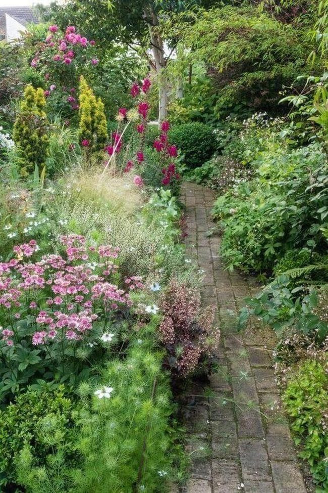 Pink And White Flower Garden Path