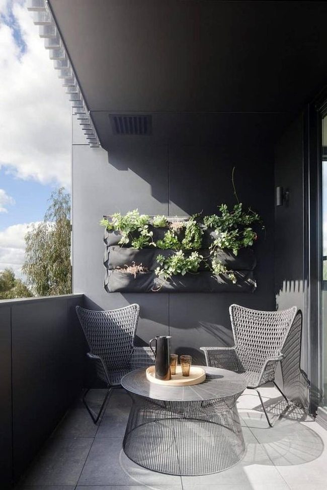 Black Walls, Sharp Shadows, Green Plants