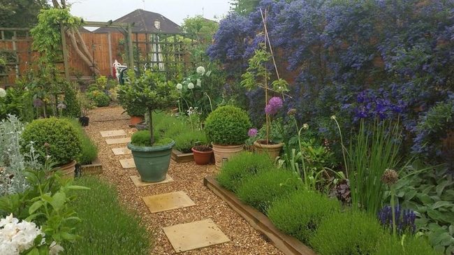 Stone Pathways Through Abundant Blooms