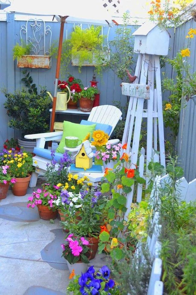 Blue Chair Among Blooming Gardens