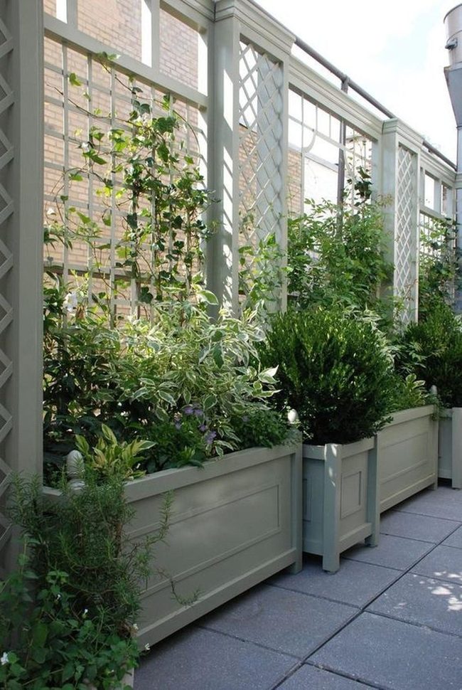 White-Edged Green Garden Sanctuary
