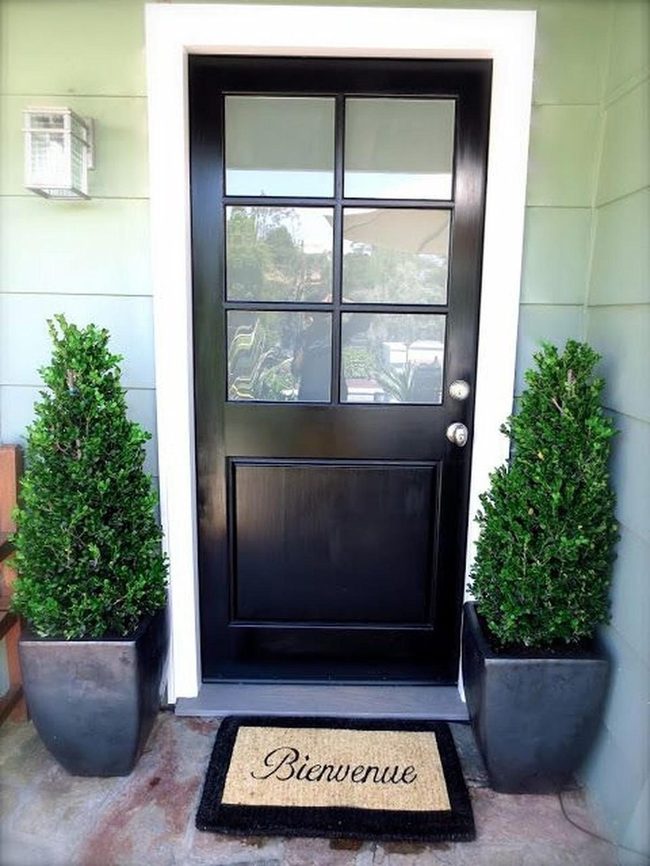 Black Six-Pane Statement Door