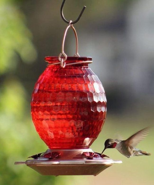 Glass Honeycomb Hummingbird Feeders