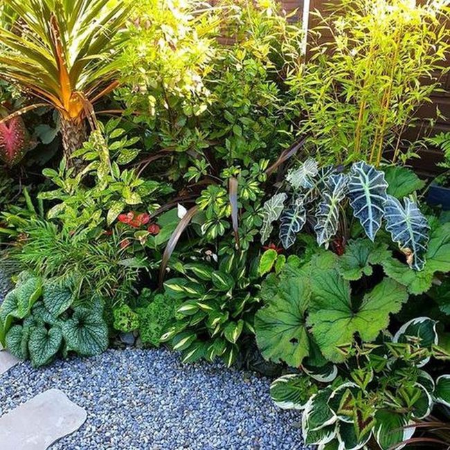 Tropical Flowers Burst Sandy Garden