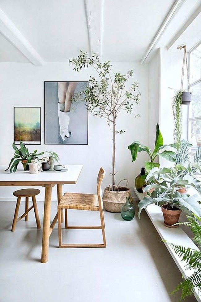 Green Plants Morning Coffee Corner