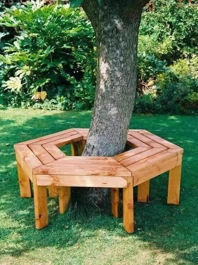 Hexagonal Wood Benches Among Trees