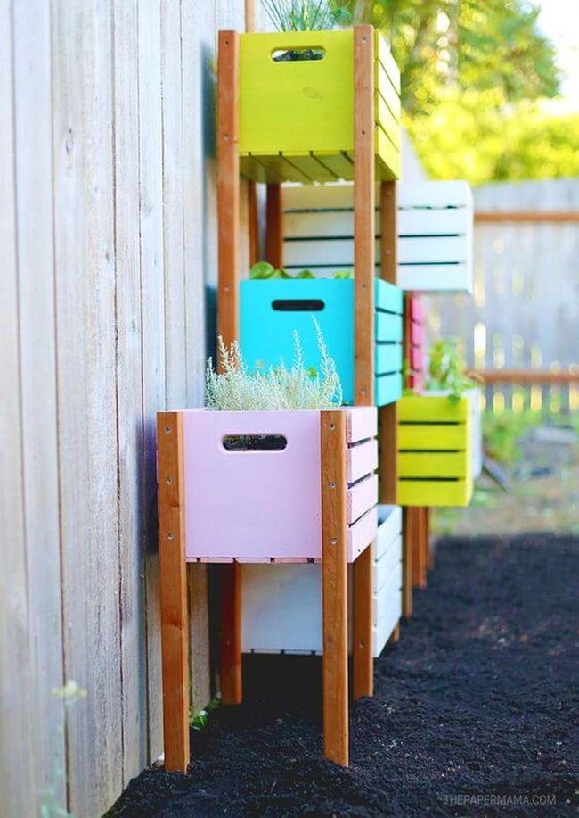 Colorful Wooden Boxes Growing Vertical