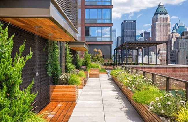 Vertical Green Balcony Paradise