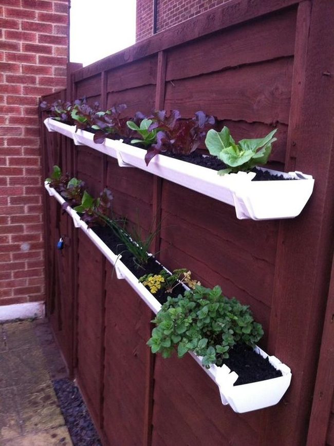 White Planters Green Red Foliage