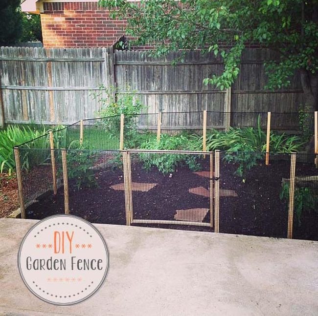 Affordable Plastic Netting Garden Protection
