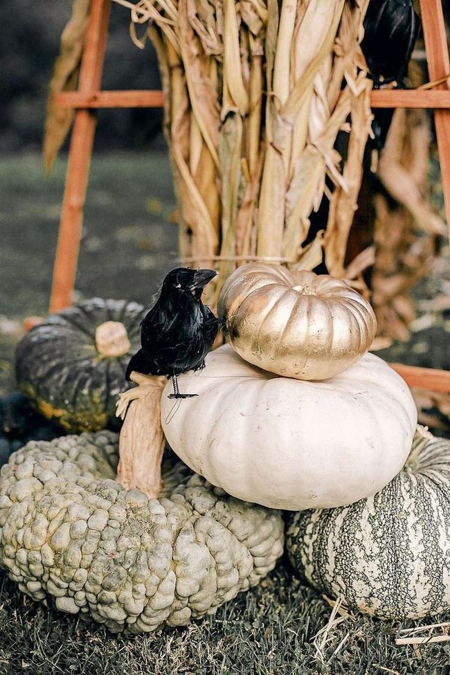 White And Gold Pumpkins Autumn Display