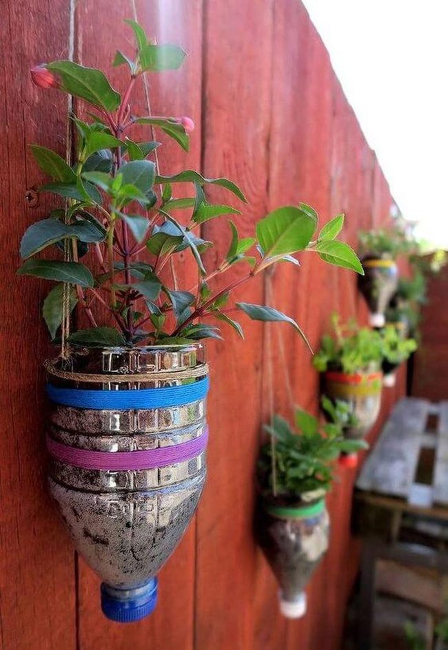 Plastic Bottles Into Hanging Gardens