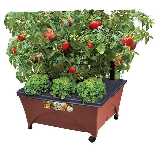 Rolling Garden Beds On Wheels
