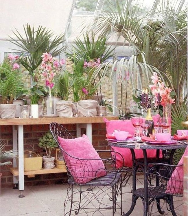Green Plants Pink Cushions Sunlit