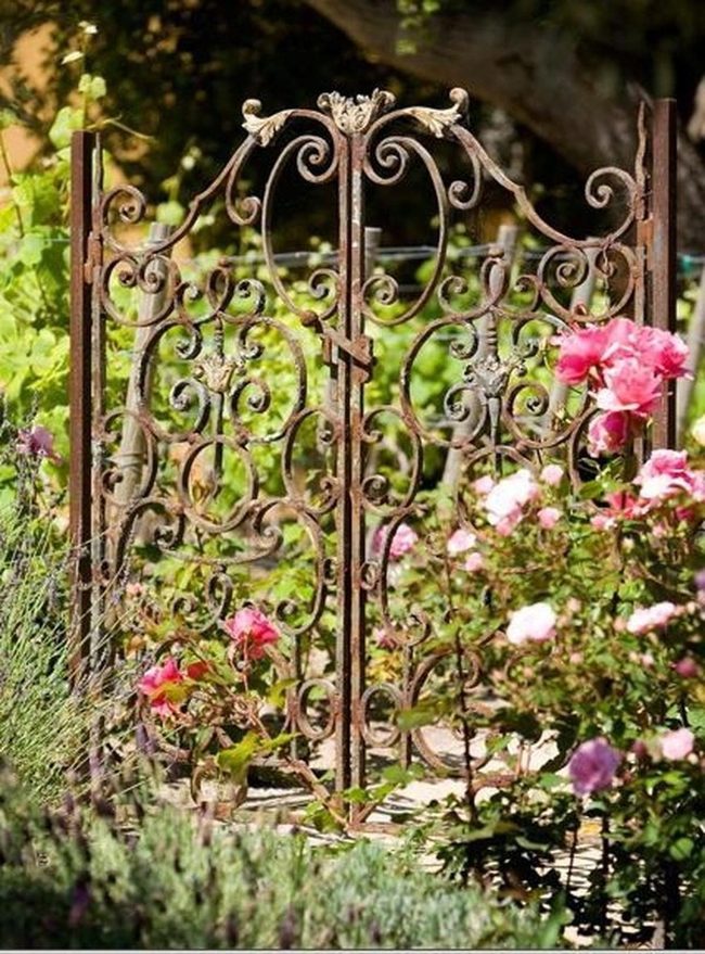 Iron Gate Blooming In Pink