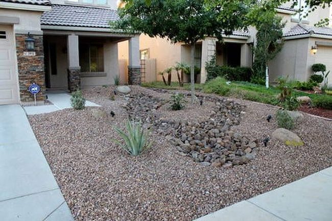 Desert Boulders And Native Succulents