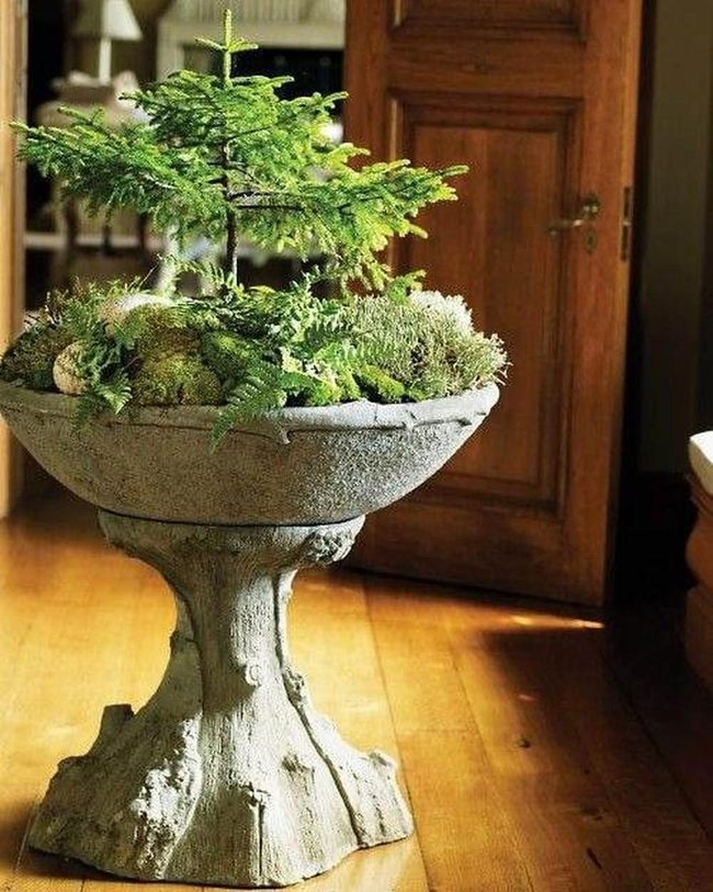 Stone Planter With Trailing Ferns