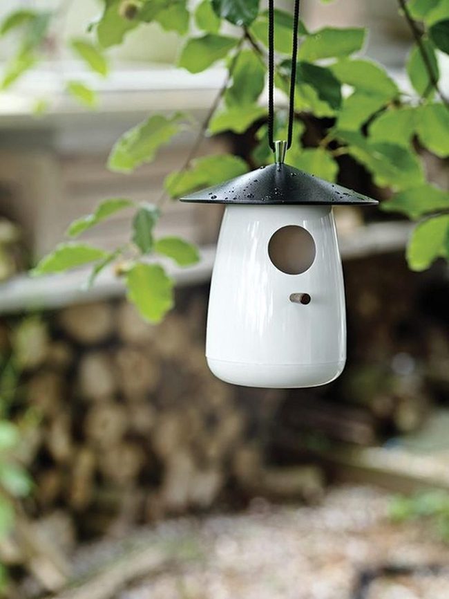 White Birdhouse Green Forest Setting