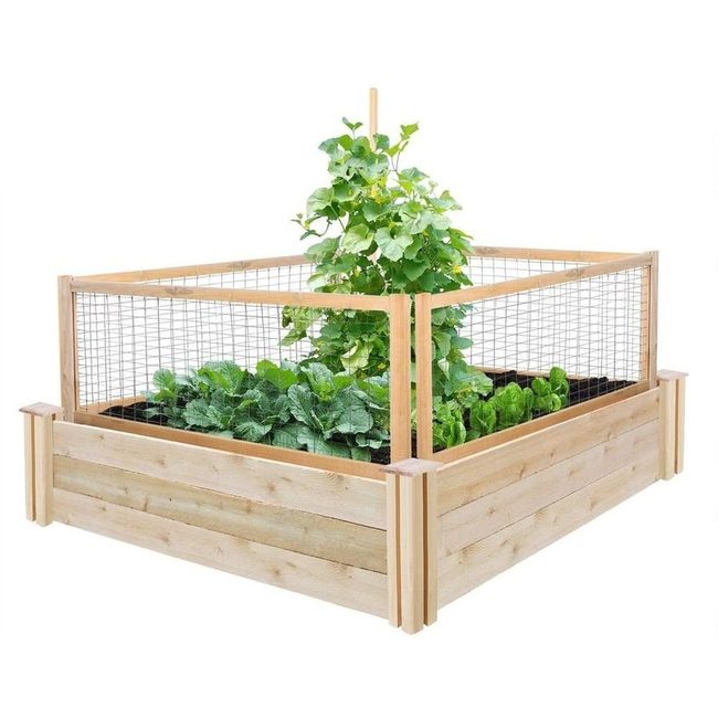 Cedar Beds With Pest Protection
