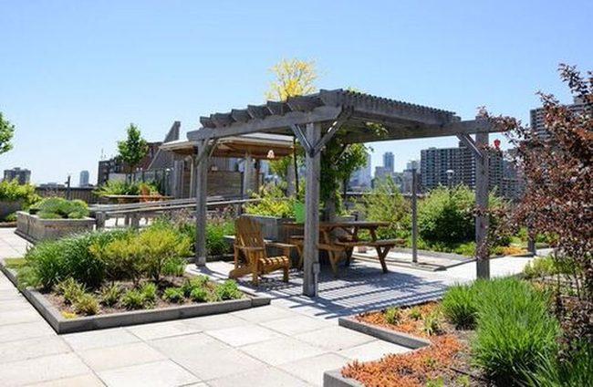 Vining Canopies Above The City