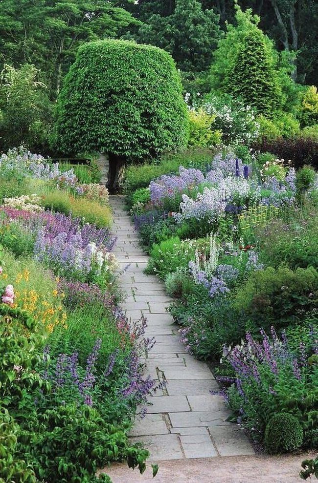Purple And White Flower Garden Path