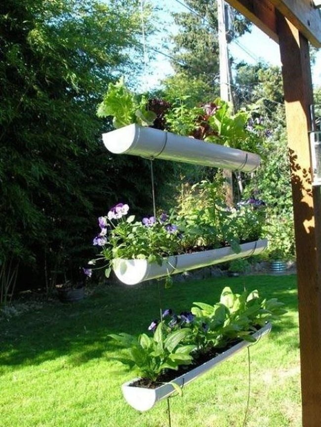 White Pipes, Purple Blooms, Green Abundance
