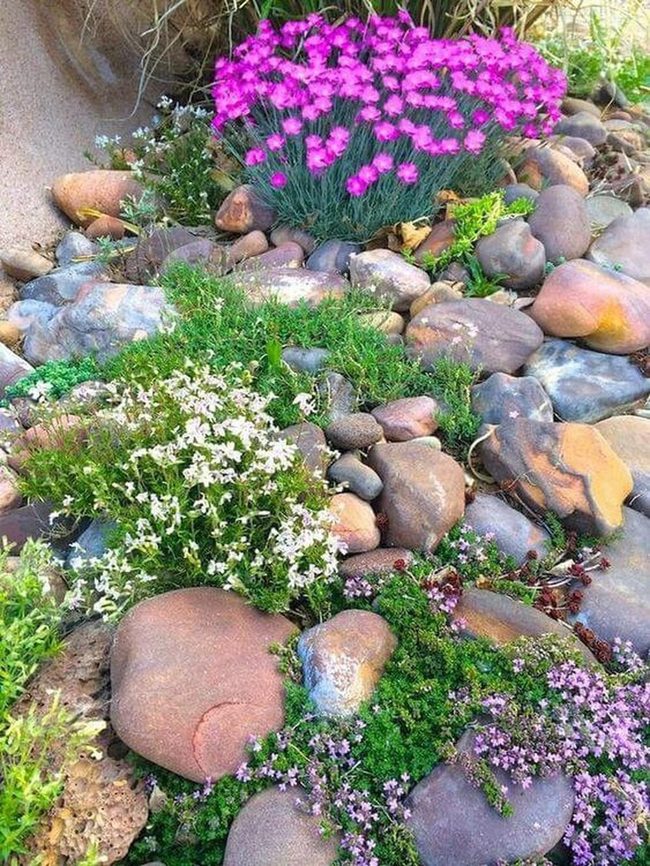 Bright Petals On Neutral Stone