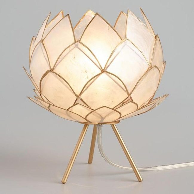 Porcelain Petals With Golden Glow