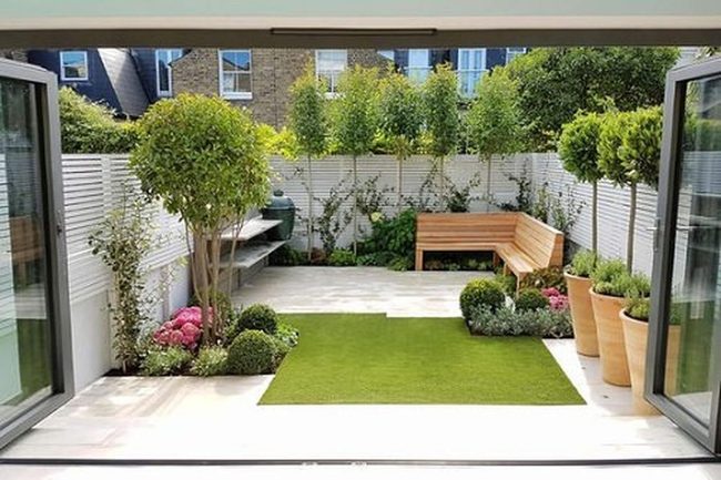 Potted Trees Transform Compact Yards