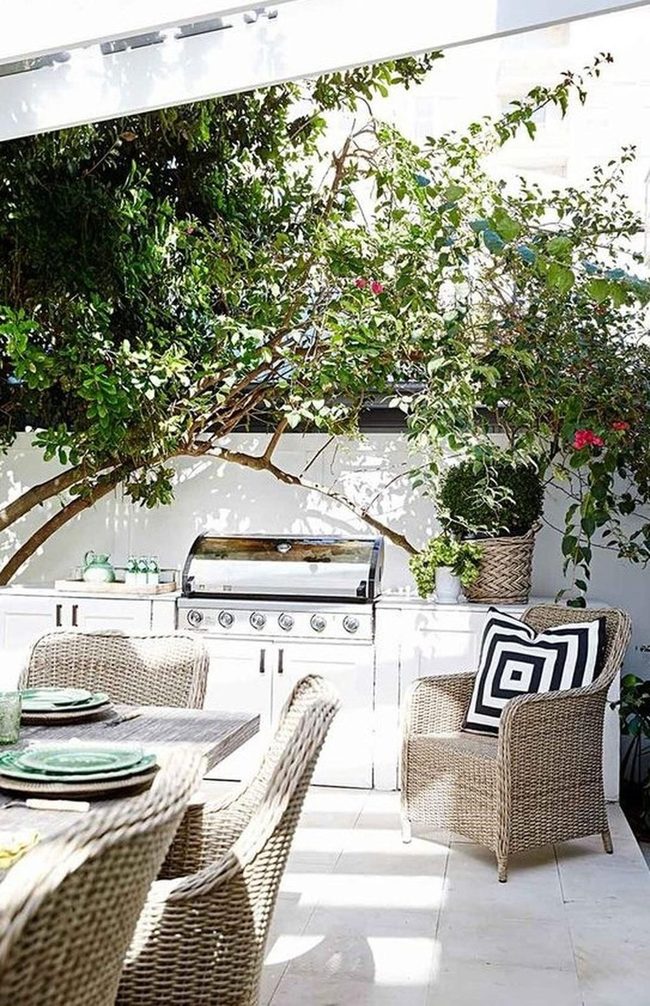 Tree Shade Meets Striped Seating