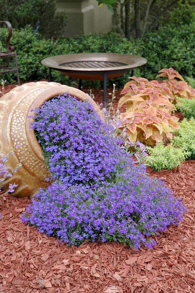 Toppled Pot Flower Spill