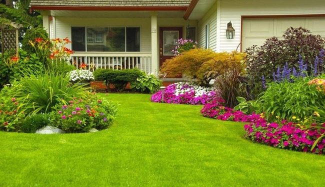 Sharp Lawn Edges Frame Blooms