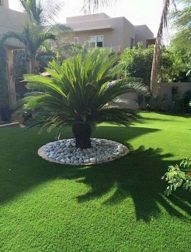 White Rock Palms Statement Landscape