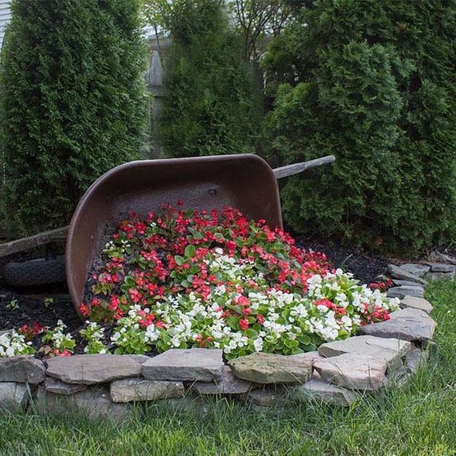 Overturned Wheelbarrow Spilling Wildflowers