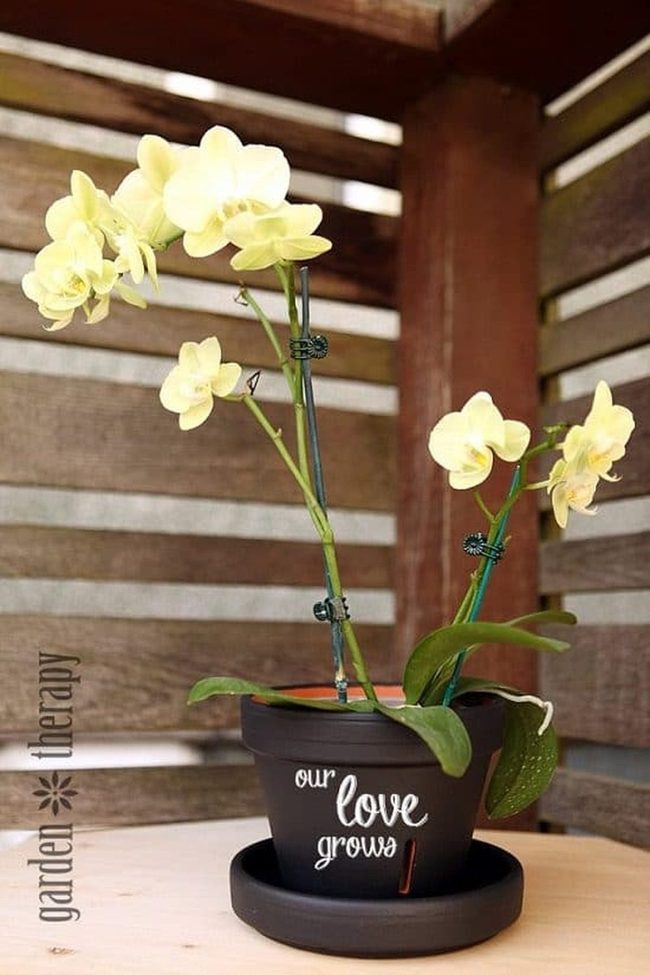 Chalkboard Orchid Pots, Personal Touch