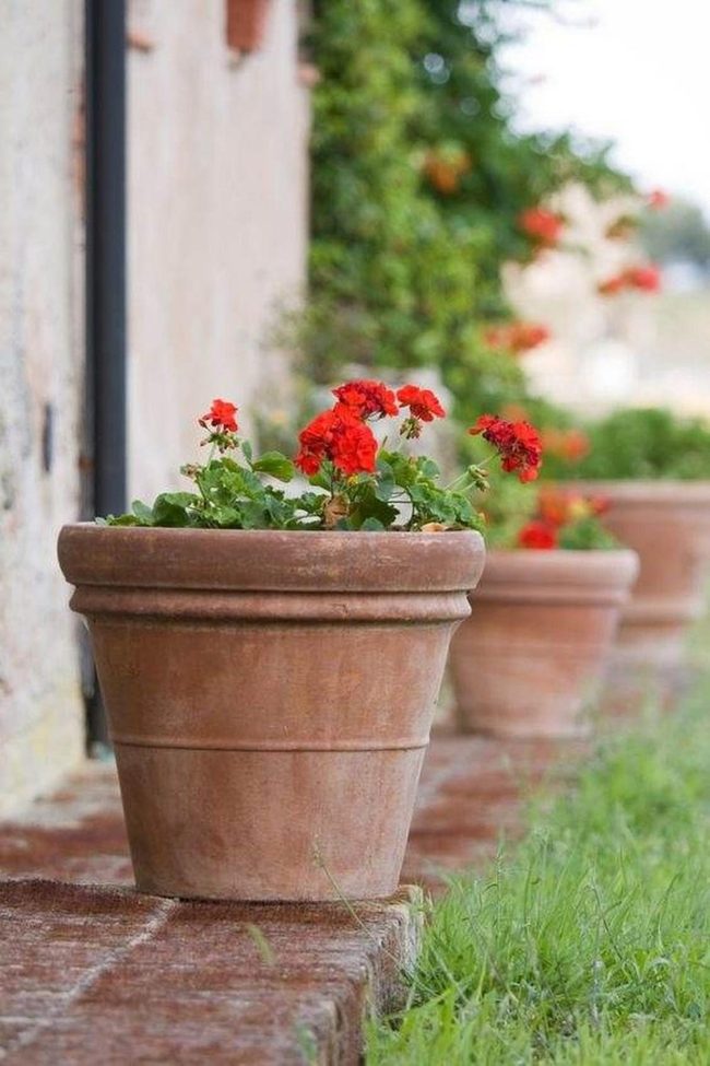Terracotta Pots Warm Earth Tones