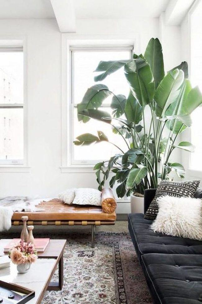 Tropical Leaves Frame Your Seating