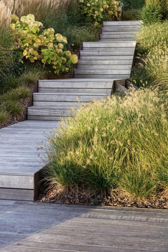 Garden Steps Through Golden Light