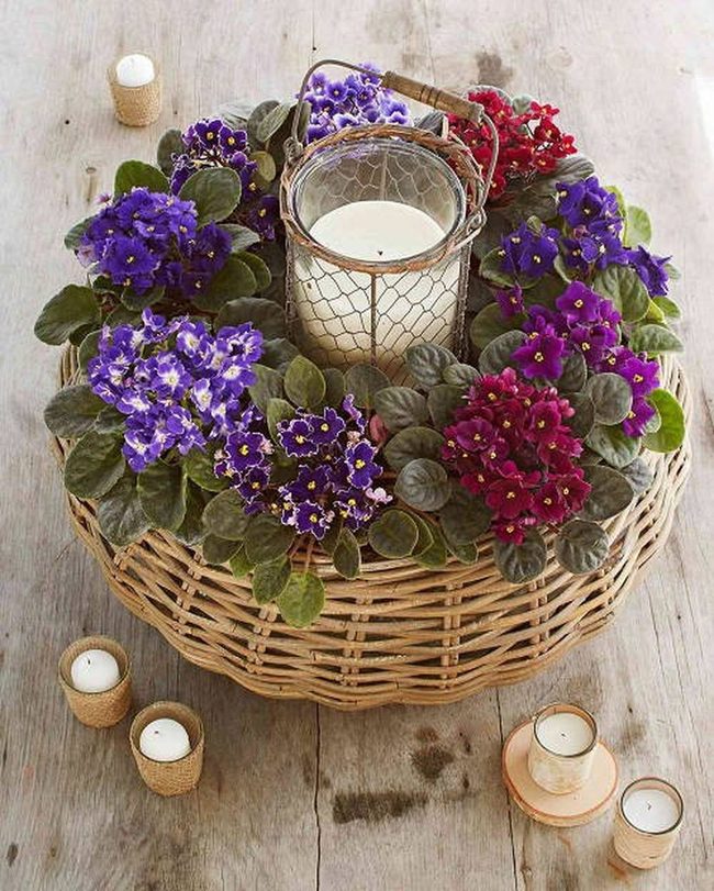 Purple Violets In Woven Baskets