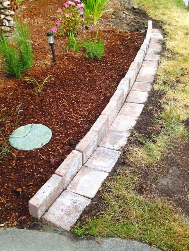 Concrete Blocks Frame Growing Seedlings